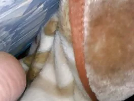 Sisäisesti sinun xhamster suomi videosi (Danny D, Alice Judge)